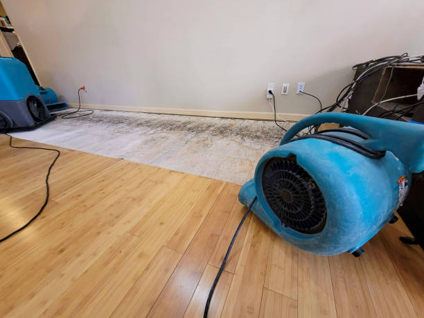 Professional Basement Flood Cleanup technician working in Oxford, PA